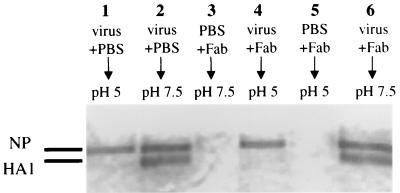 FIG. 10