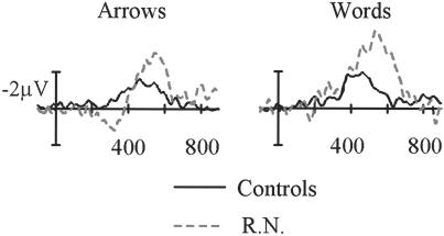 Fig 5.