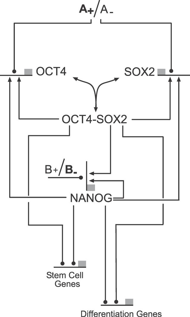 Figure 13