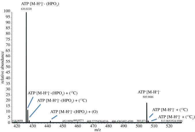 Figure 1.