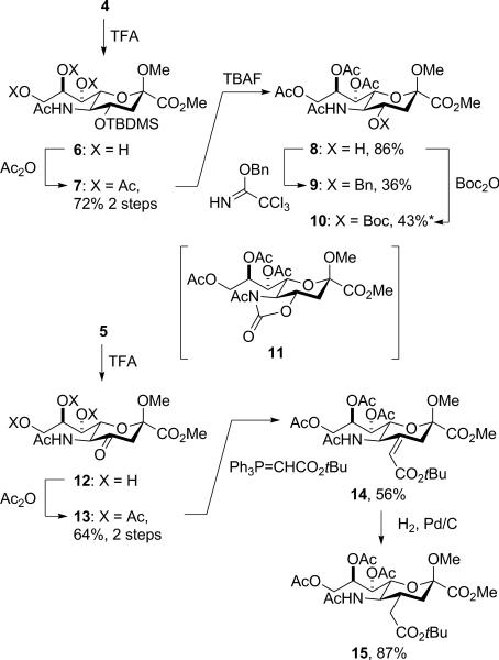 Scheme 1