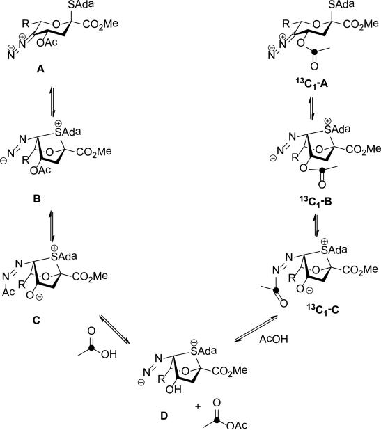 Scheme 12