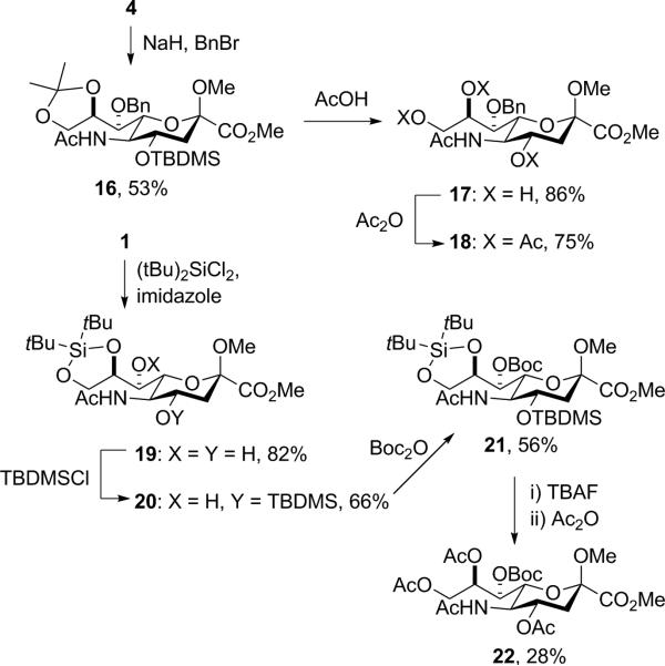 Scheme 2