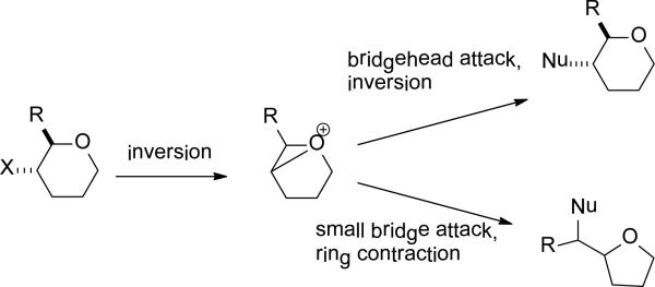 Scheme 11