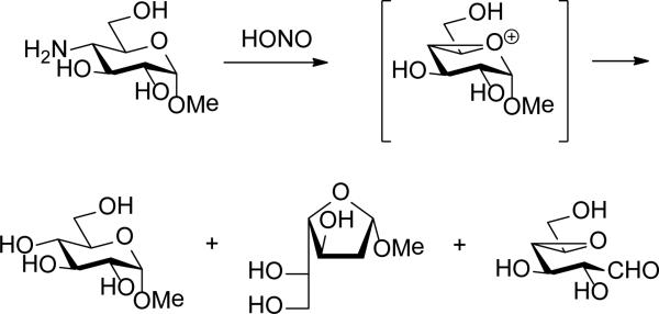 Scheme 8