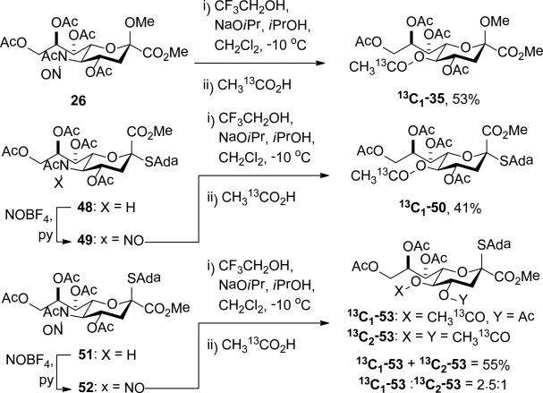 Scheme 4