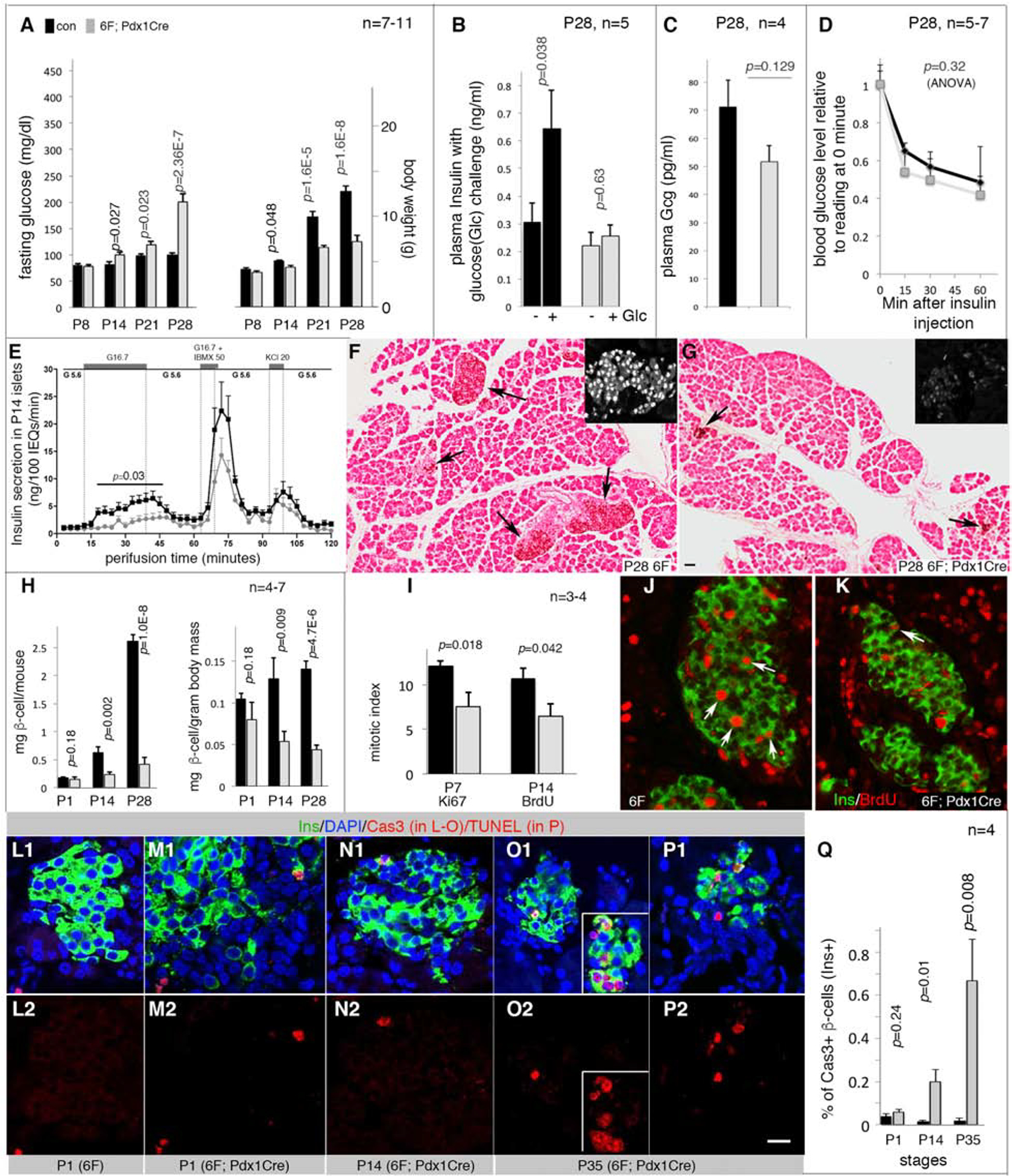 Myt Transcription Factors Prevent Stress-Response Gene Overactivation to Enable Postnatal Pancreatic β Cell Proliferation, Function, and Survival.