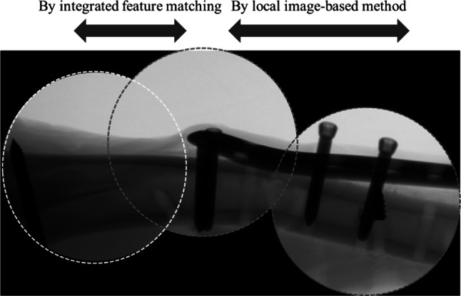 Fig. 7