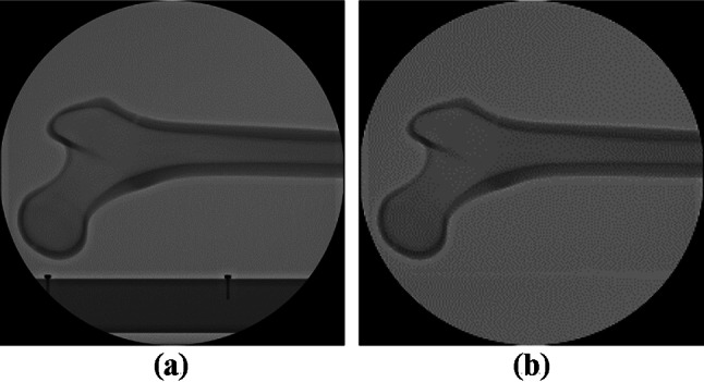Fig. 12