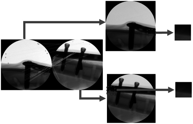 Fig. 2