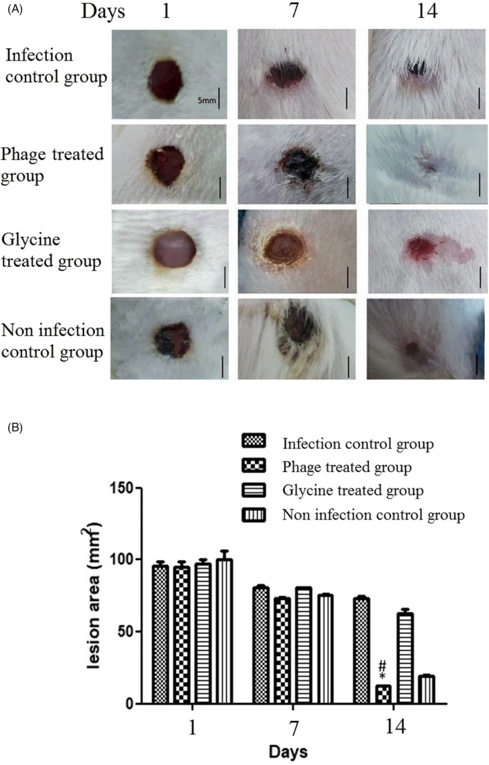 FIGURE 6