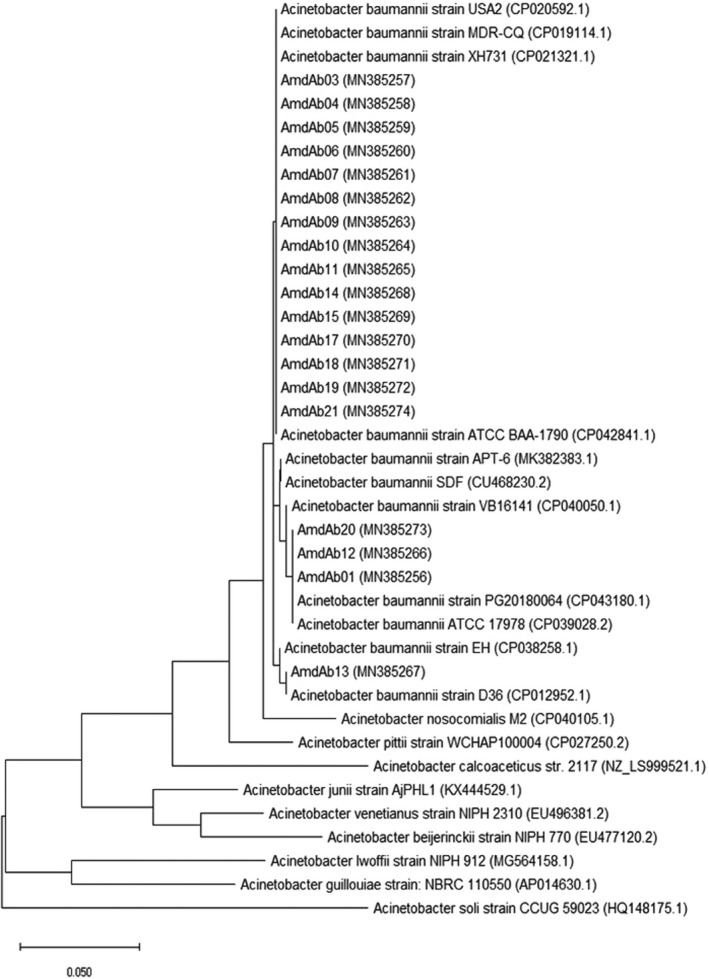 FIGURE 1