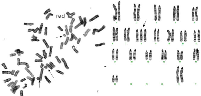 Figure 10