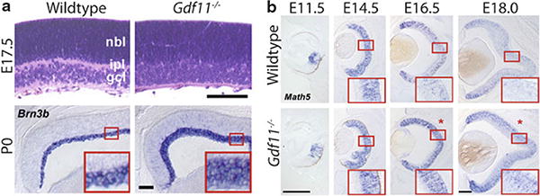 Fig. 85.1