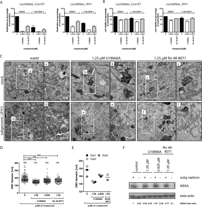 FIG 10