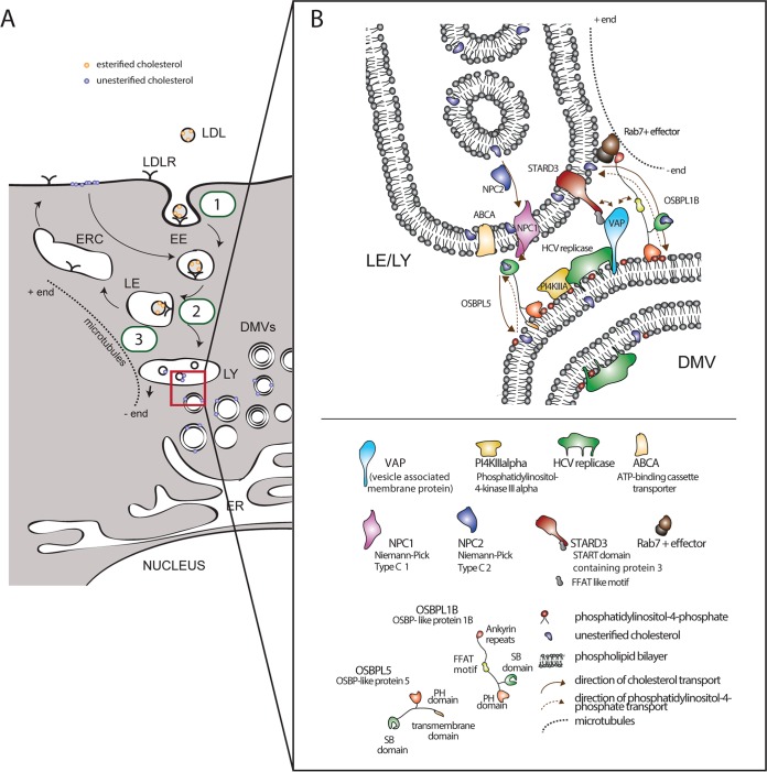 FIG 12