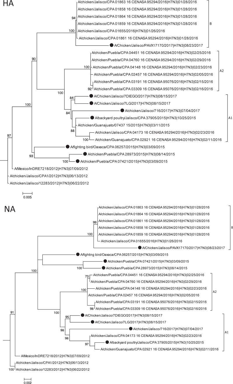 Fig 1