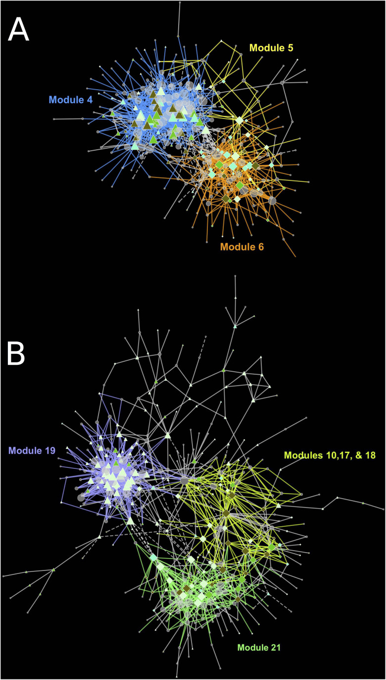 FIGURE 6