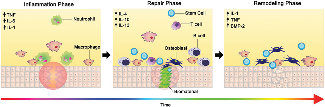 Figure 12.