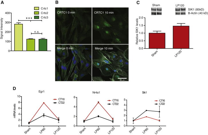 Figure 4