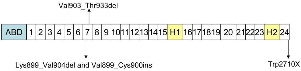 Fig. 8