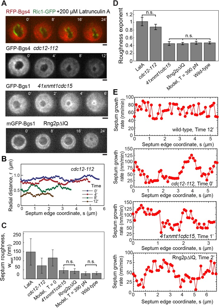 Fig. 4.