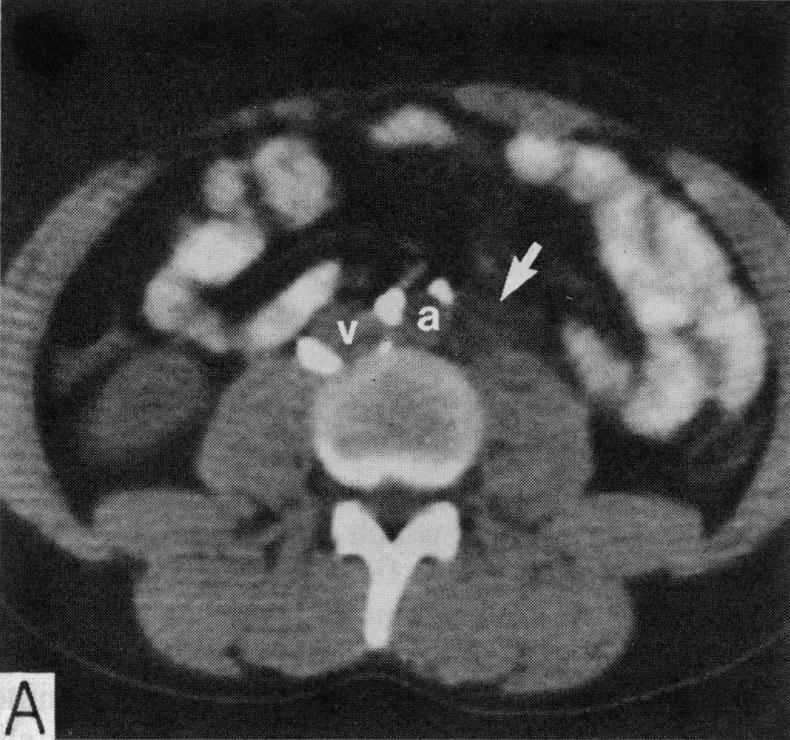 Figure 2. A