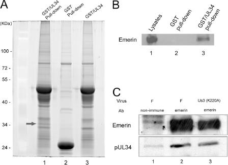 FIG. 8.