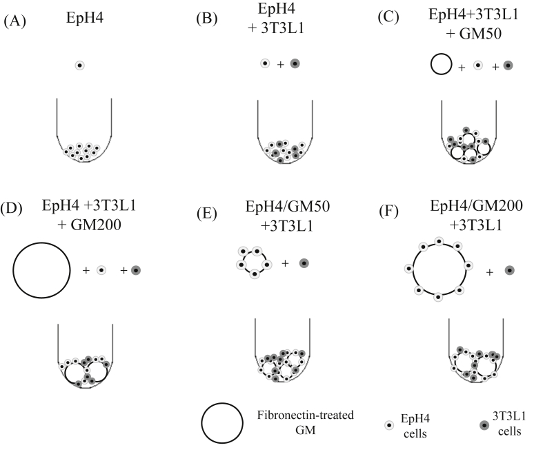 Fig. 3