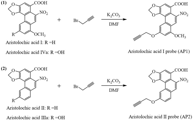 Scheme 1