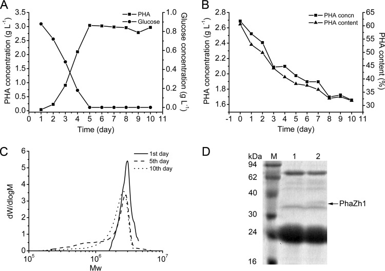 FIG 1