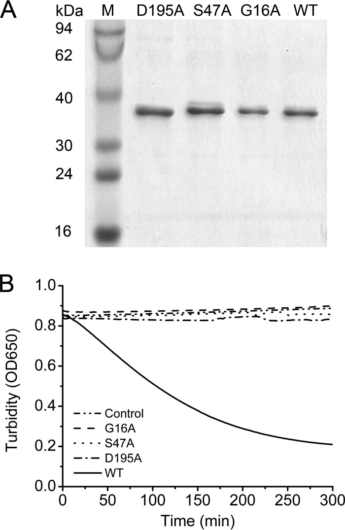 FIG 6