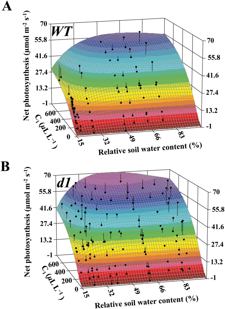 Fig. 6.