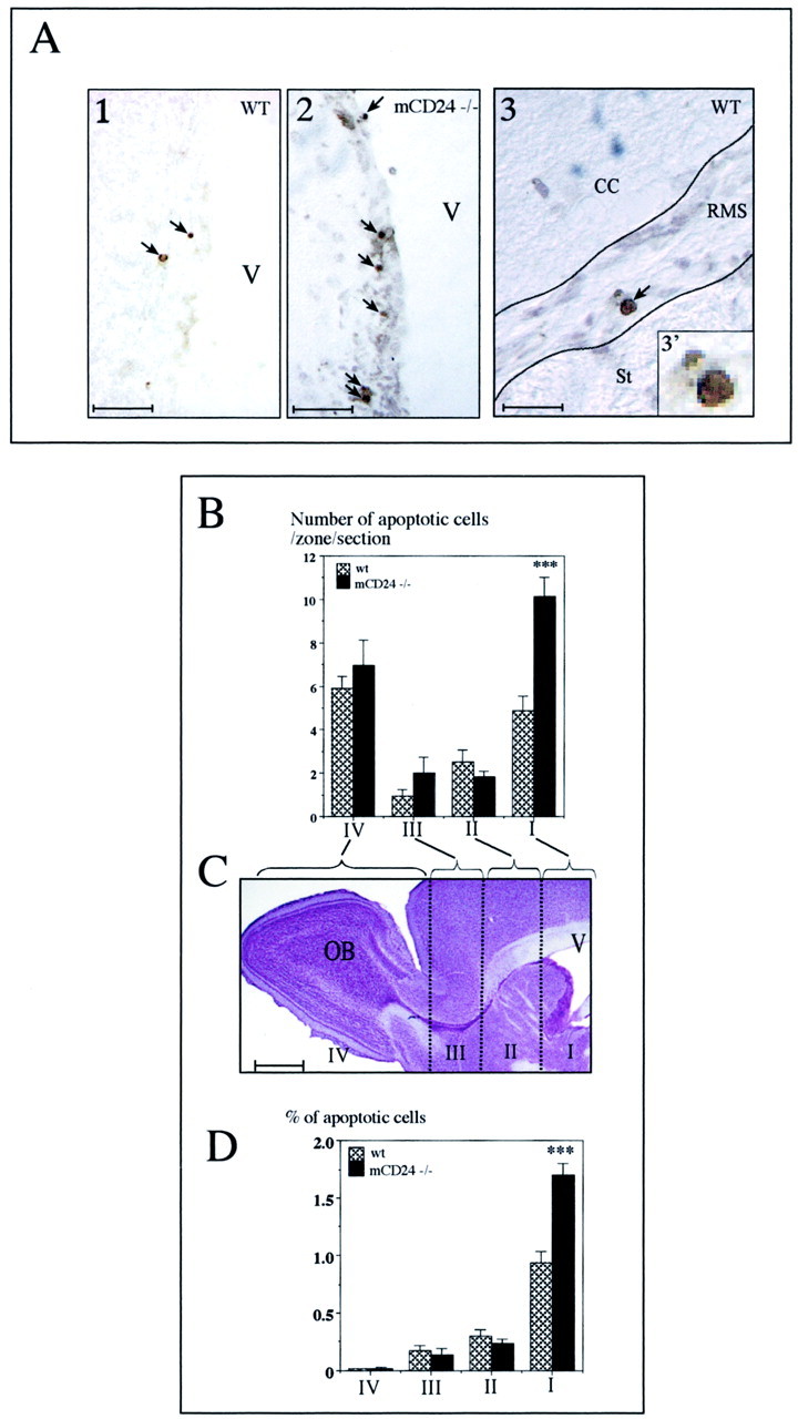 Fig. 9.