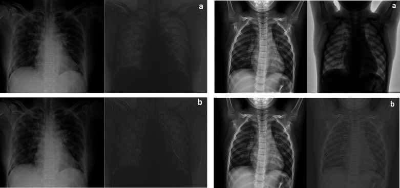 Fig. 5.