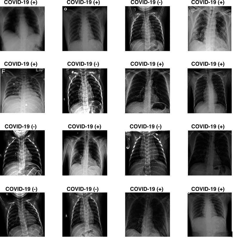 Fig. 3.