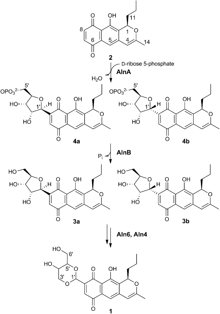 Fig. 1.