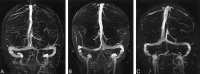 <sc>fig</sc> 1.