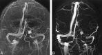 <sc>fig</sc> 2.