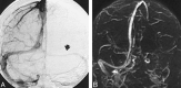 <sc>fig</sc> 4.
