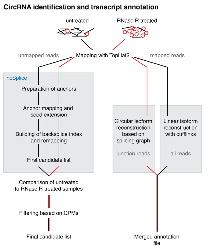 Figure 1—figure supplement 1.