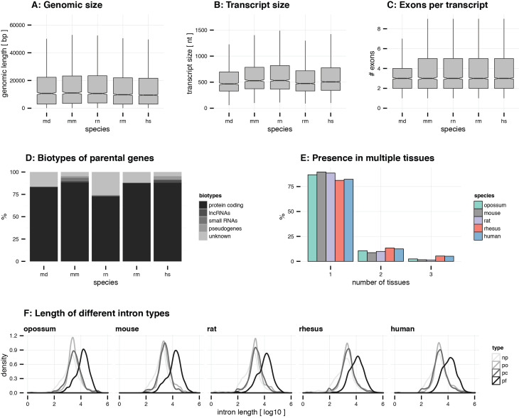 Figure 1—figure supplement 3.