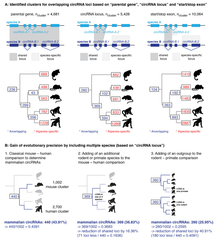 Figure 2—figure supplement 1.