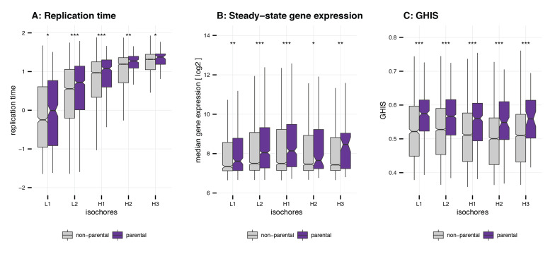 Figure 3—figure supplement 1.