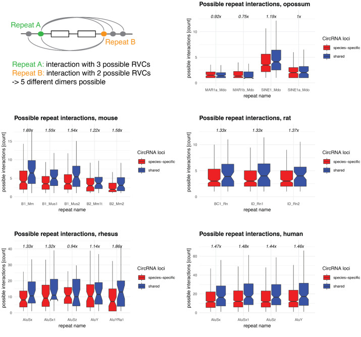 Figure 5—figure supplement 2.