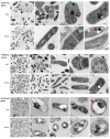 Fig 8