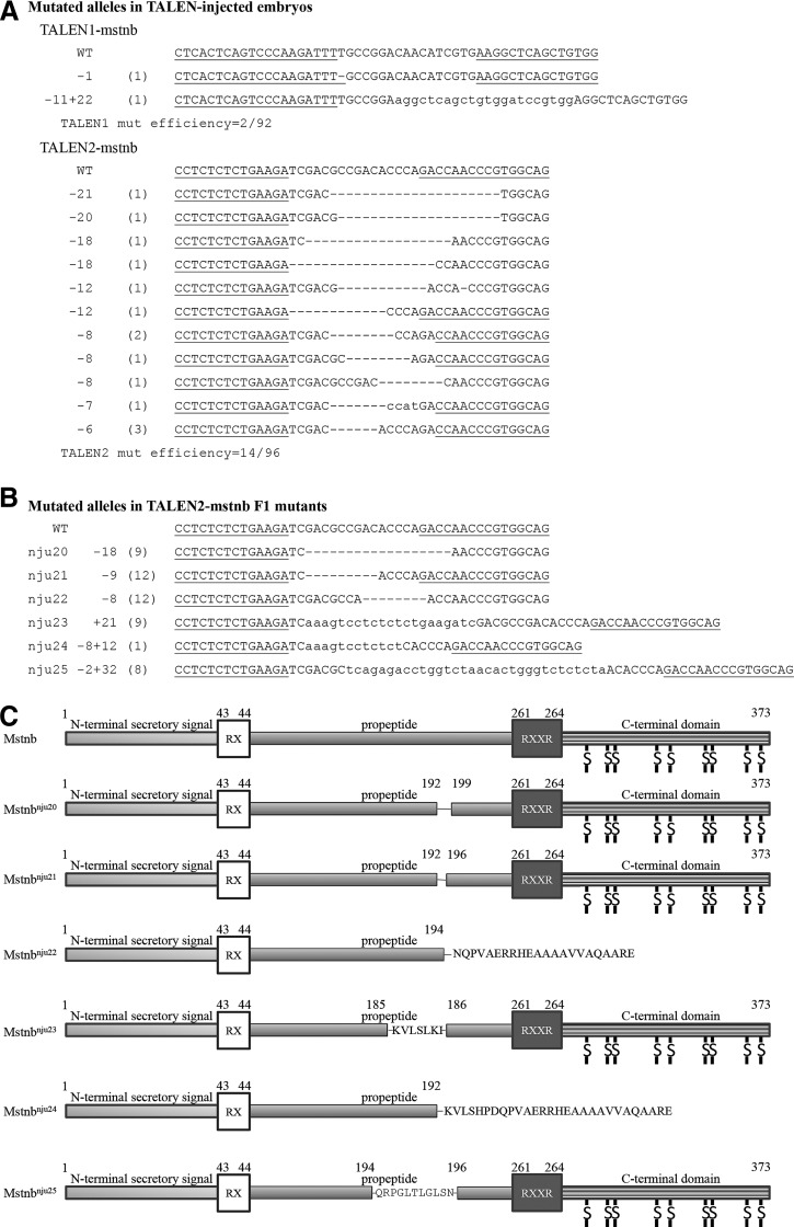 FIG. 6.