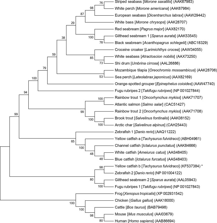 FIG. 3.