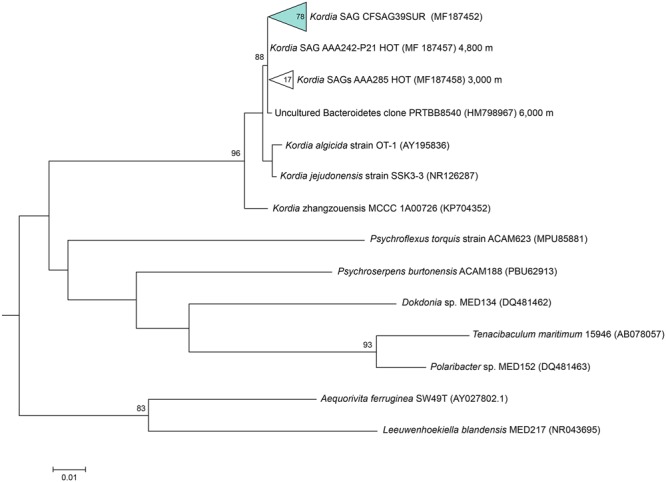 FIGURE 2