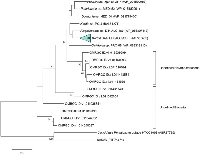 FIGURE 3